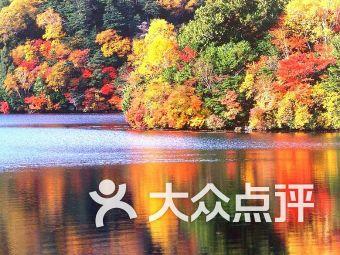 表姐老了让我照顾她，不能生育，对我挺好的，当时答应，过后后悔了怎么办？游戏画面