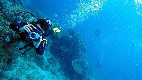 “庭院经济+”拓宽增收路
